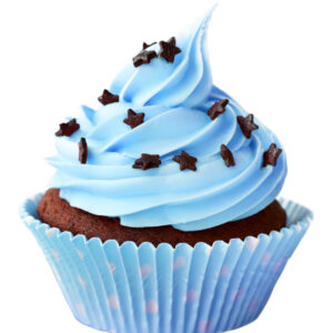 The Best Oreo Cupcakes